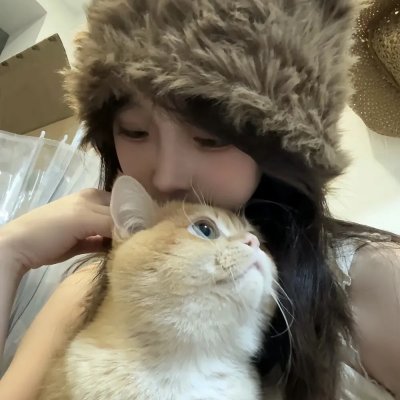 难续未了缘